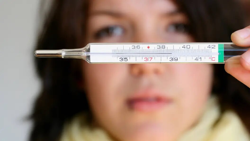    IMAGO/Bilderbox/Globallookpress