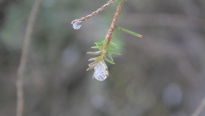 Фото: @EyeEm / freepik.com