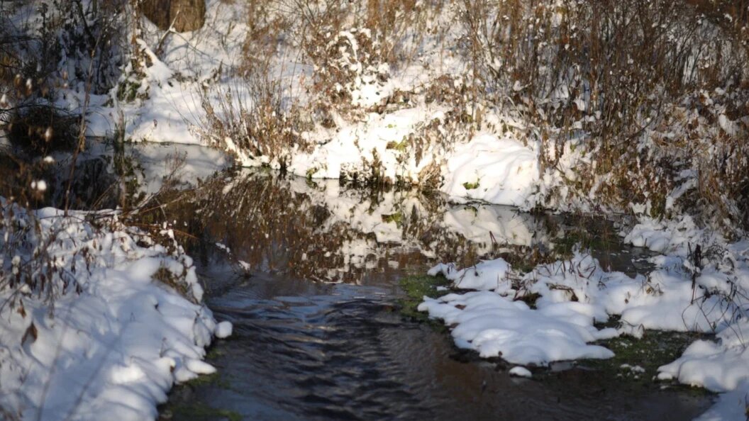    ФОТО: КОЛЛАЖ ЦАРЬГРАДА