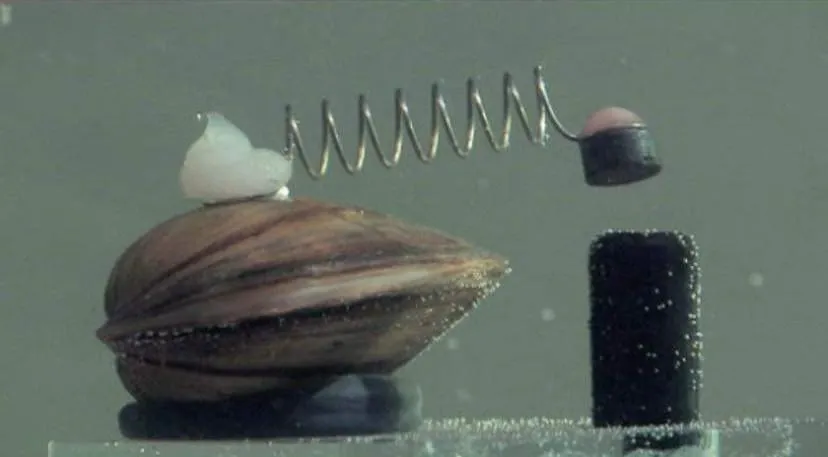 В Варшаве установлены выключатели, которые отключают городские насосы, когда качество воды падает