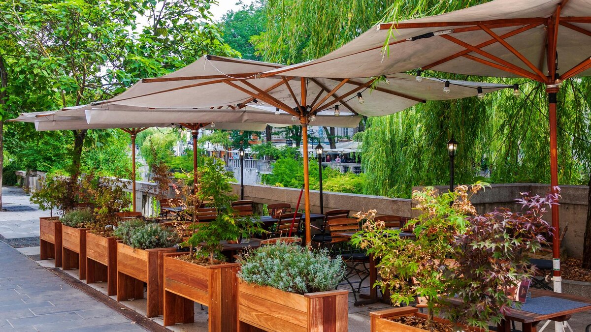    Фото: unsplash.com