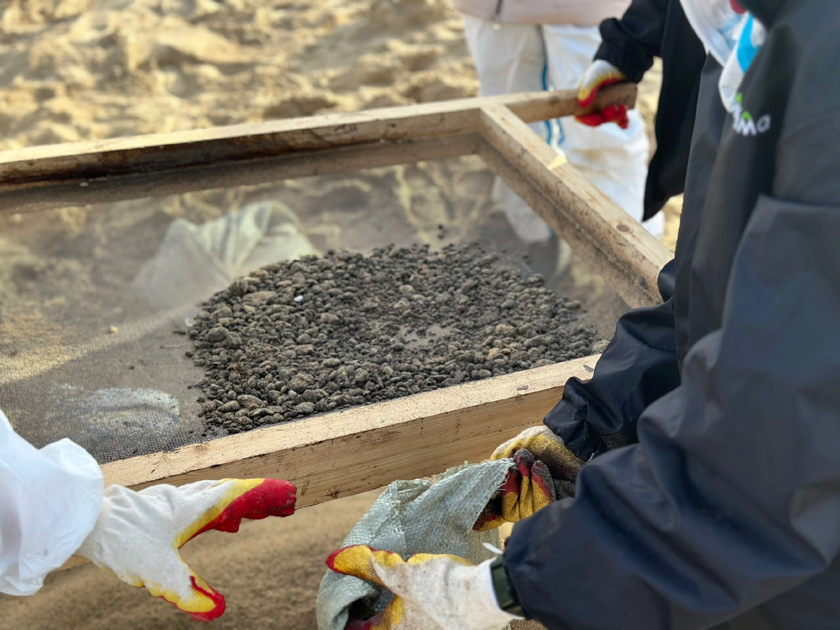 Фото: Федор Козин