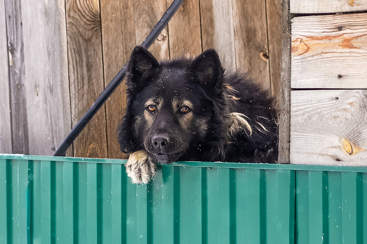   Фото Андрея Заржецкого