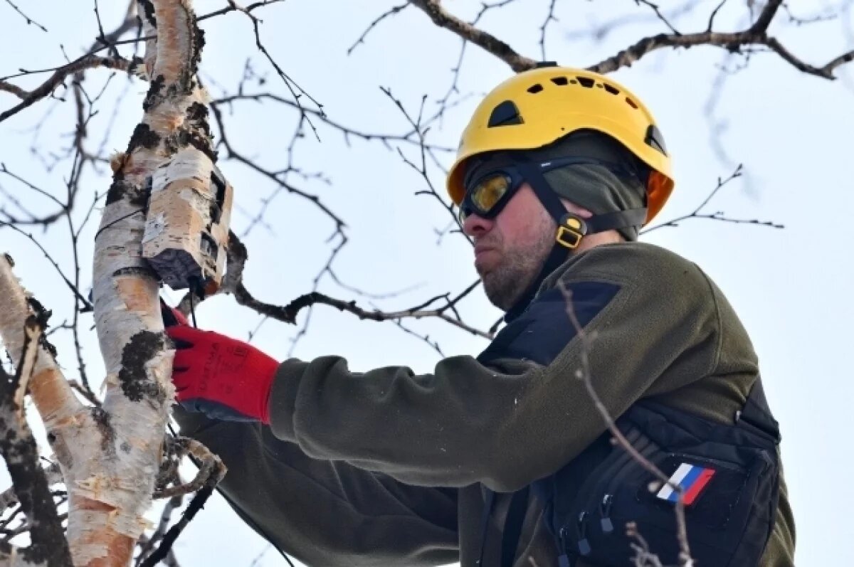    На Камчатке в заказнике «Озеро Начикинское» изучают редких птиц