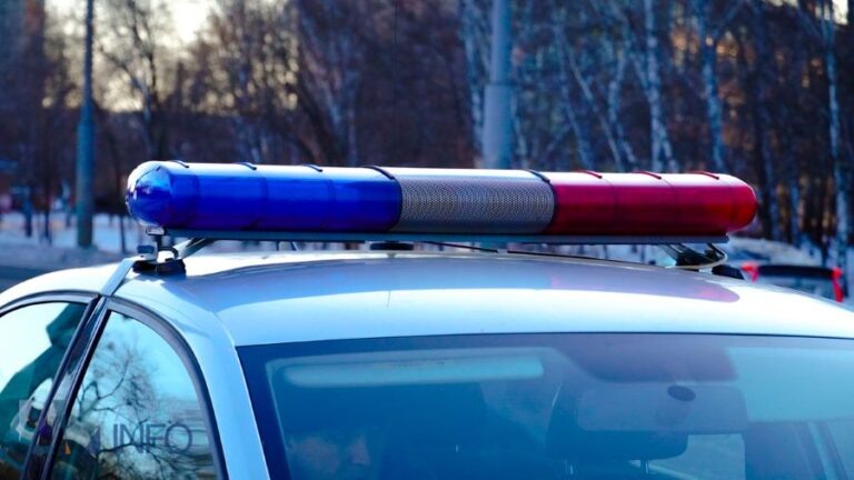 Фото: Амур.инфо