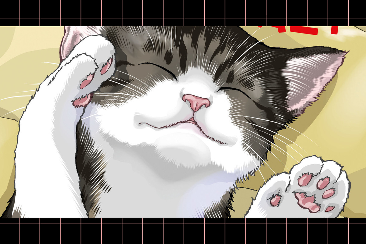     Автор манги «Будни геймерши и кошки» Ватару Надатани готовит к выпуску новую работу