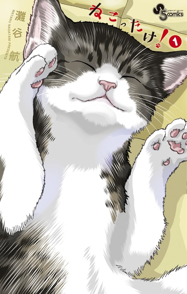    Обложка манги Nekottake!Соцсети