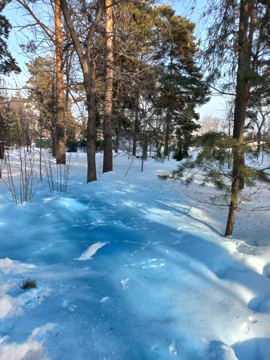 Под голубыми небесами