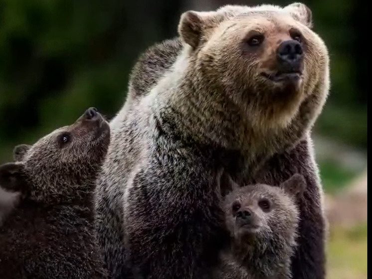 Фото из открытых источников интернета