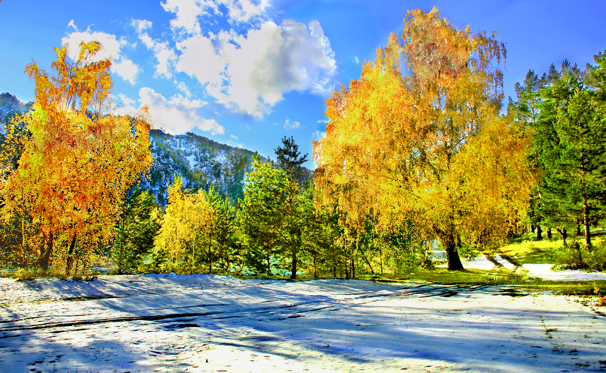 Фотография, стихотворение Василия Глуцкого