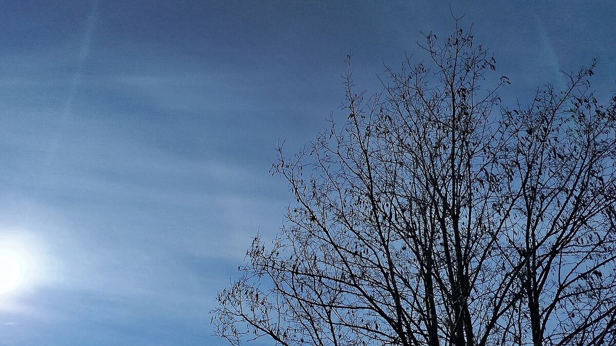    Фото: телеканал «Краснодар»