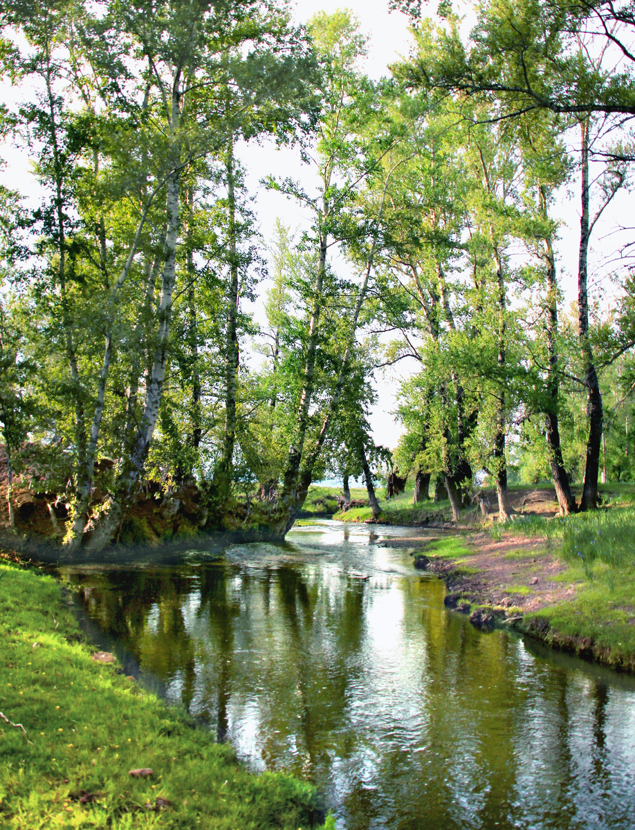 Фотография, стихотворение Василия Глуцкого