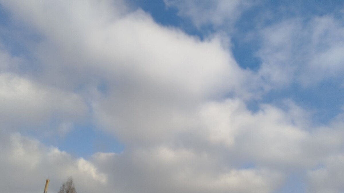    Фото: телеканал «Краснодар»