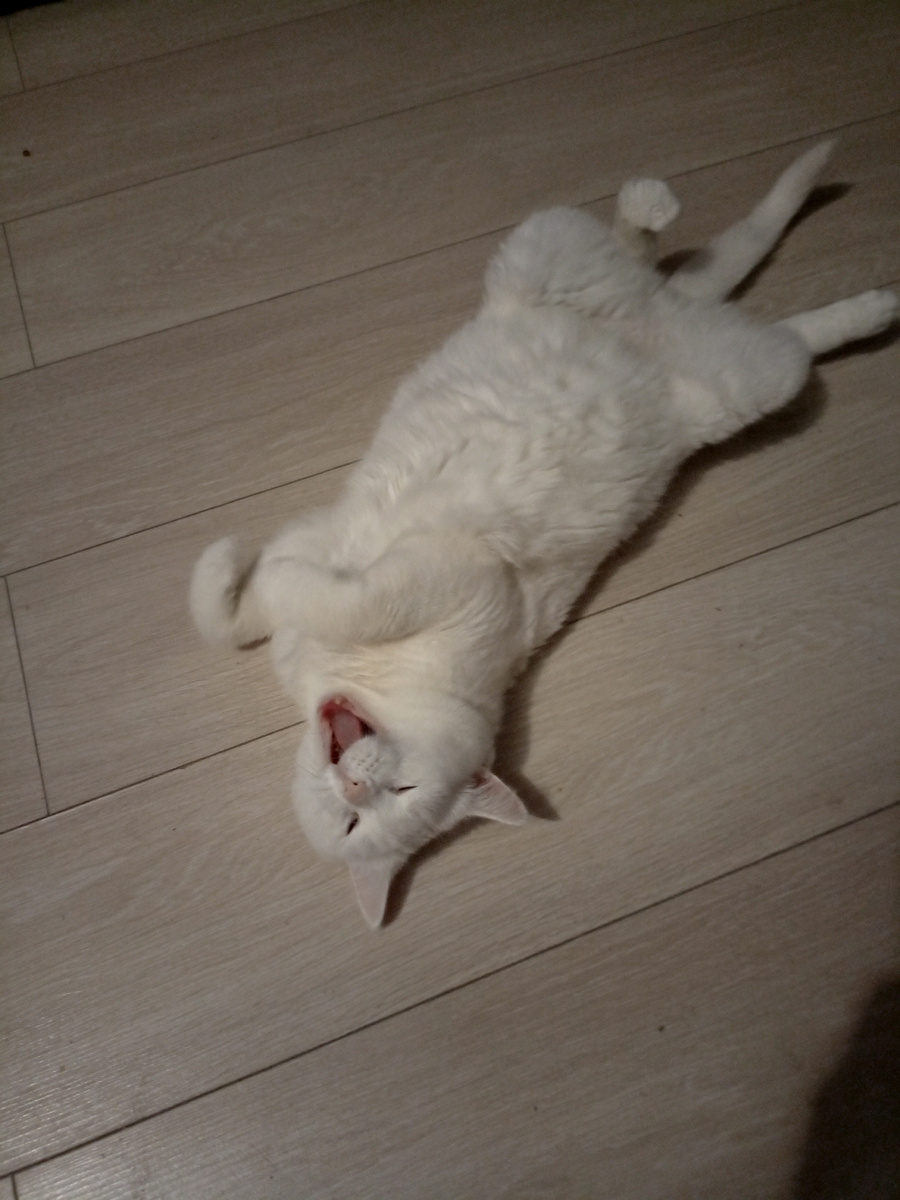 Нет сил встать .