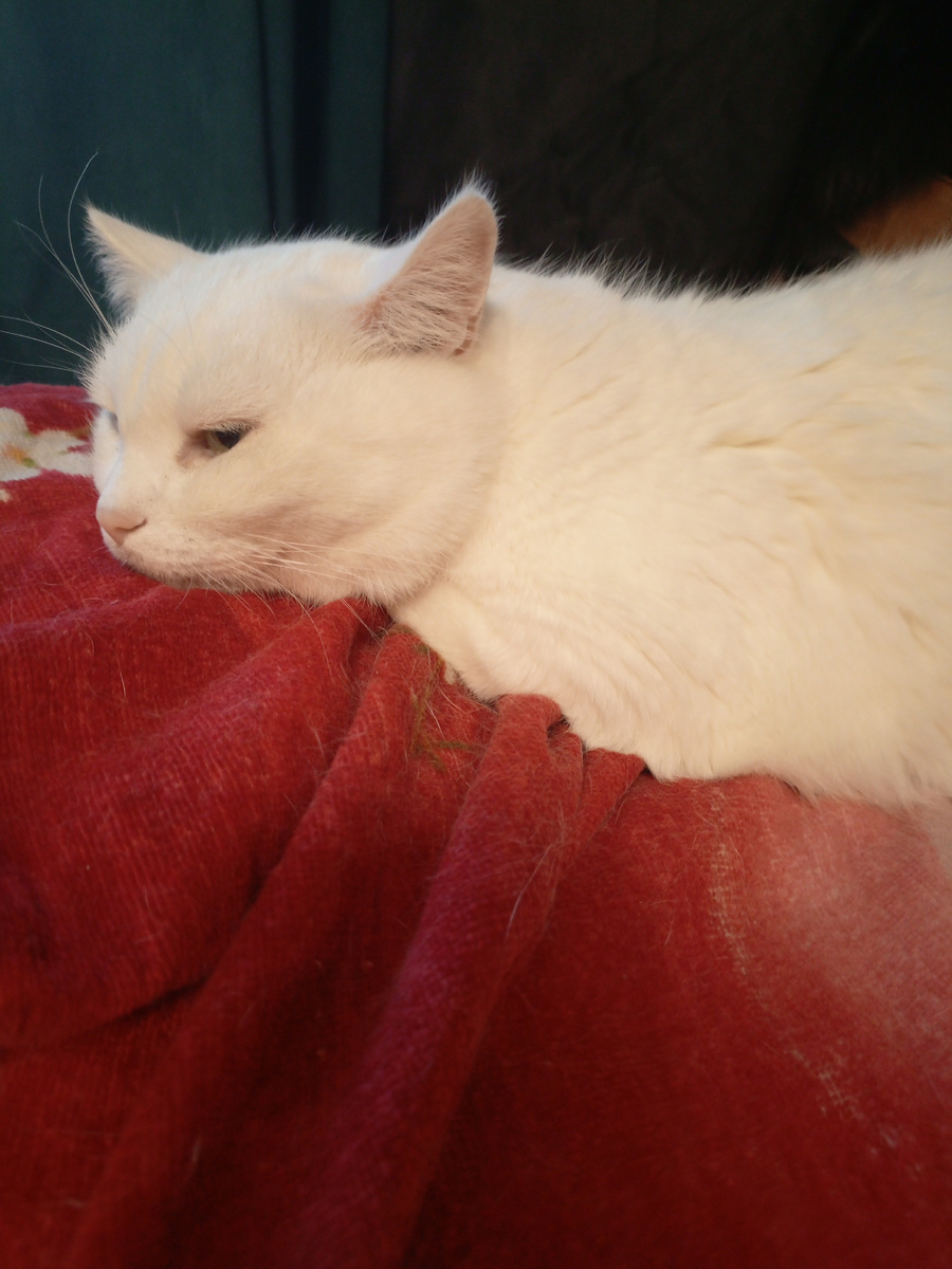 Задумчивость .