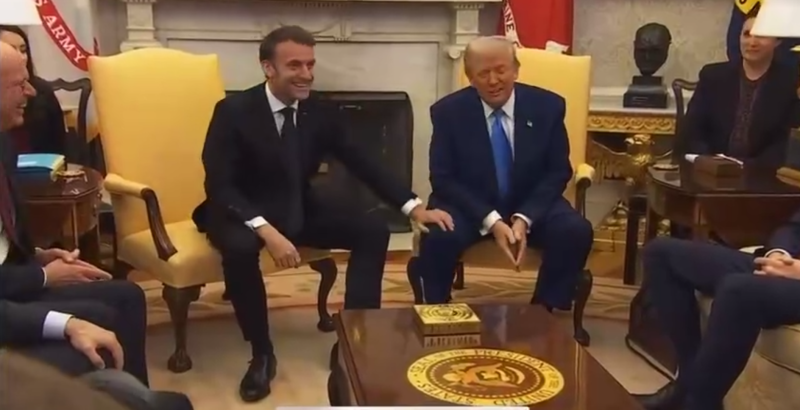    Скриншот:Telegram/Вероника Степанова