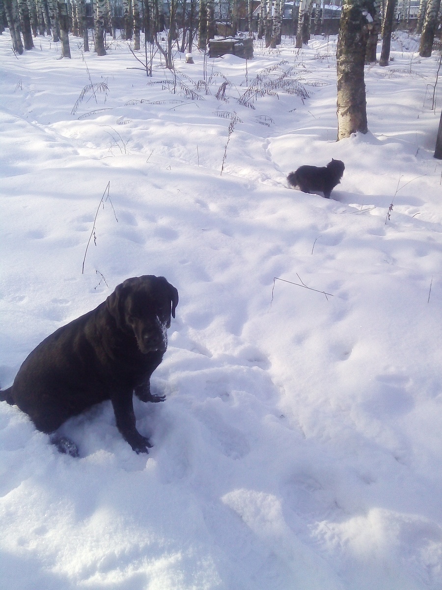 Фото автора.