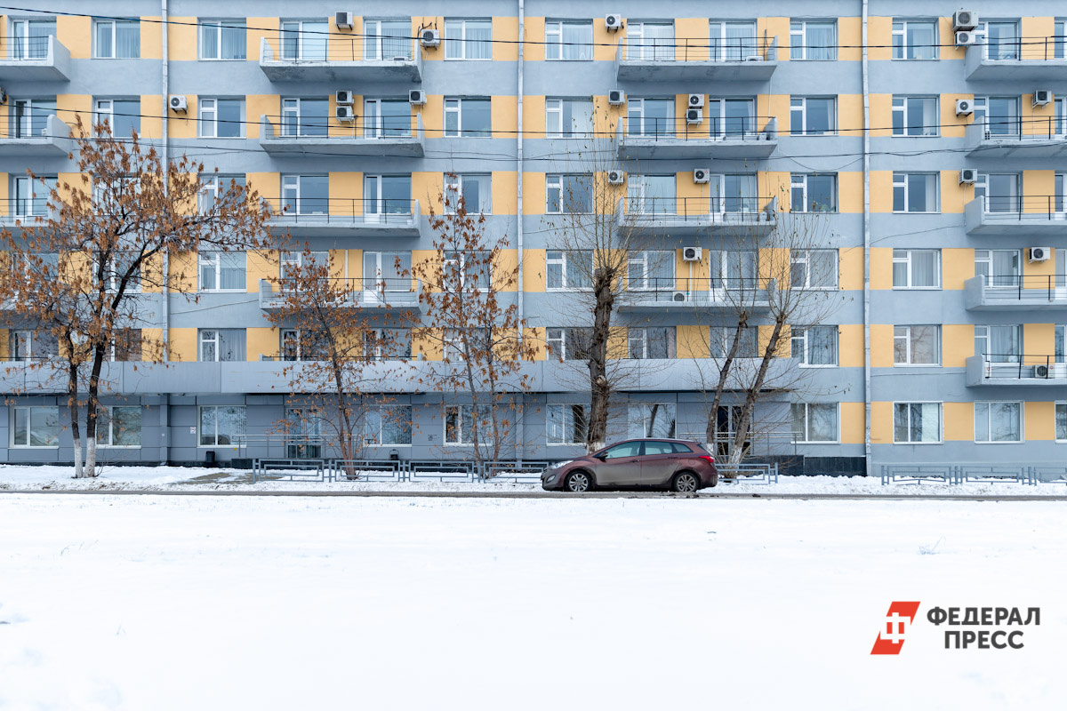Зимой летучую мышь нашли на балконе.  Фото: Фото: ФедералПресс / Евгений Поторочин