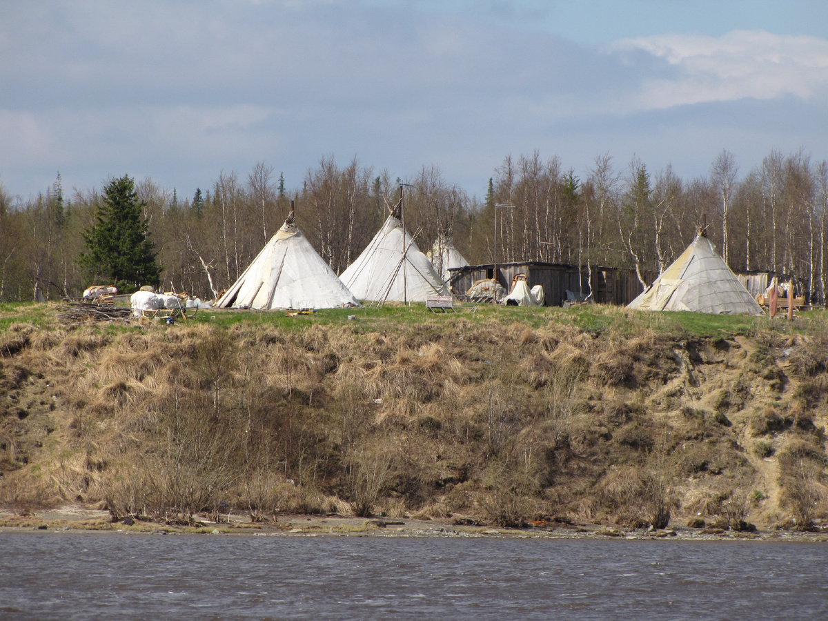 Поставили мы у реки Щучья три чума