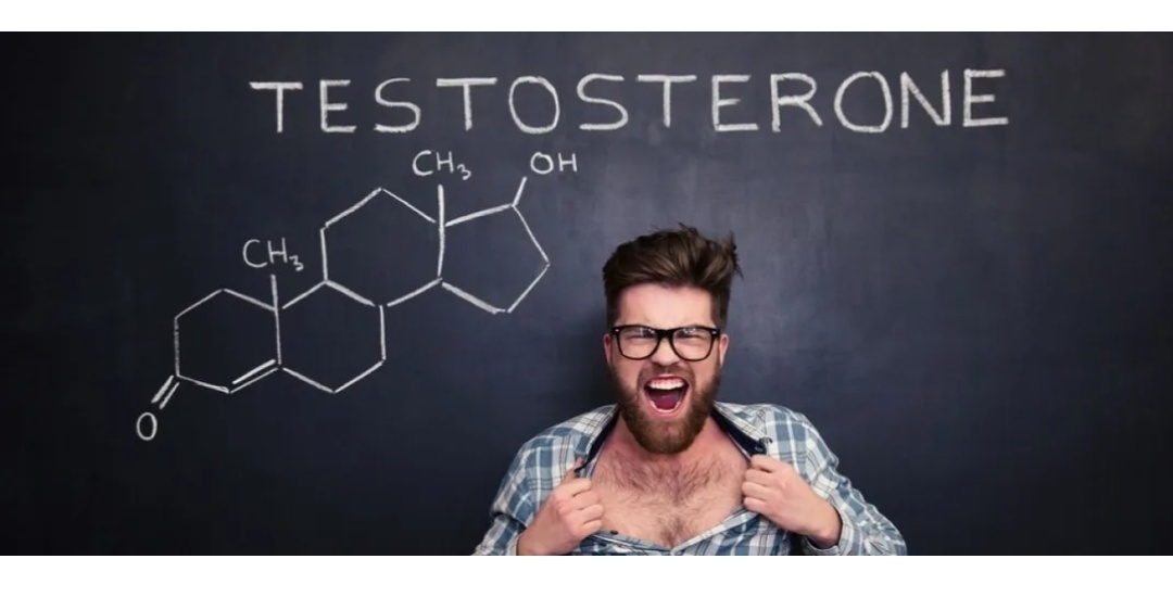 Фото из интернет 