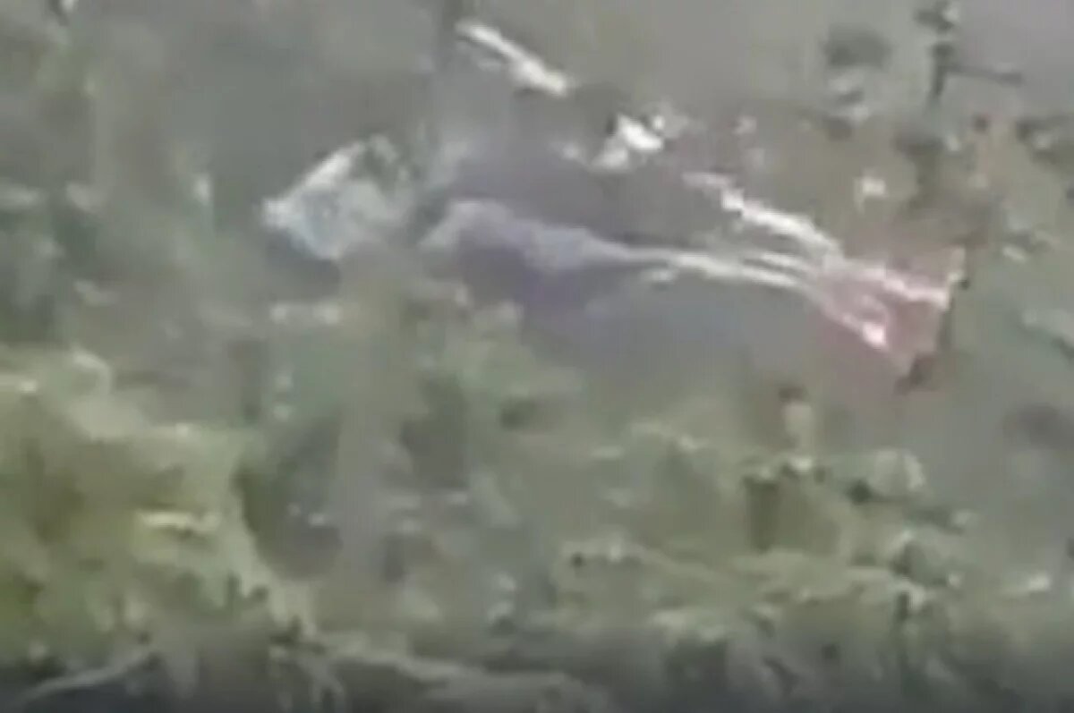    Борт с президентом Гондураса Кастро совершил аварийную посадку в джунглях