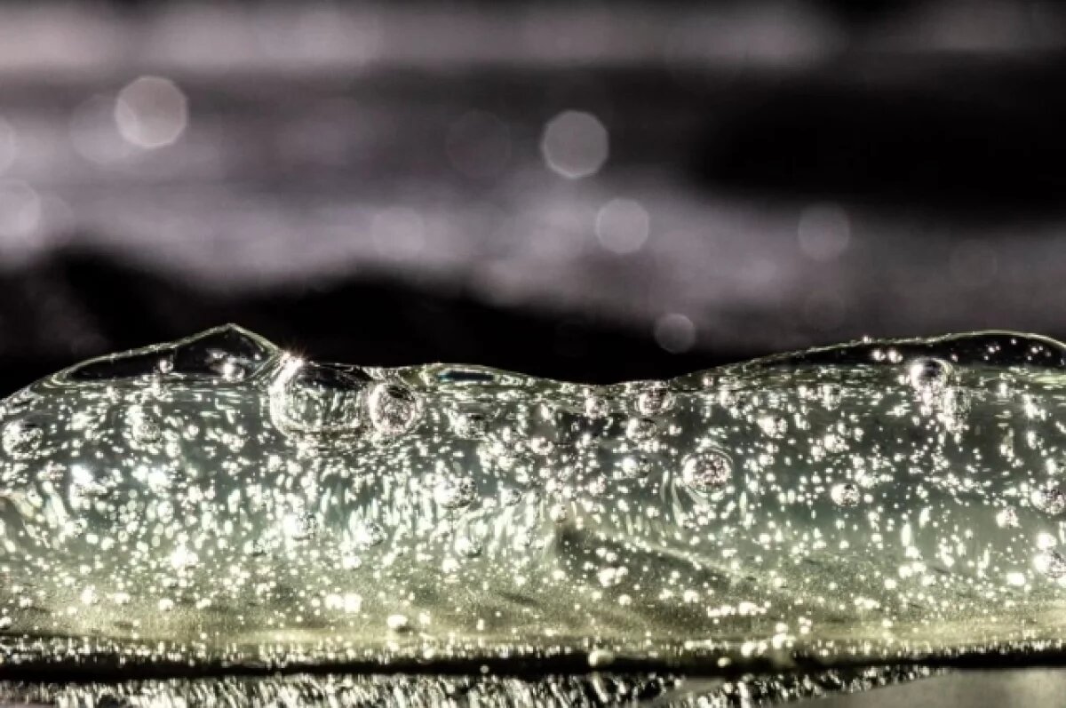    В Камешково местный житель спас лосиху, провалившуюся под лед