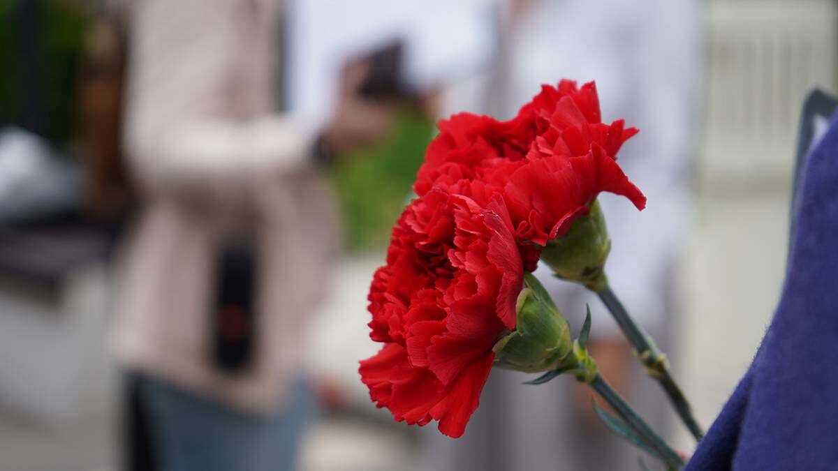    Фото: Анна Быкова / Вечерняя Москва