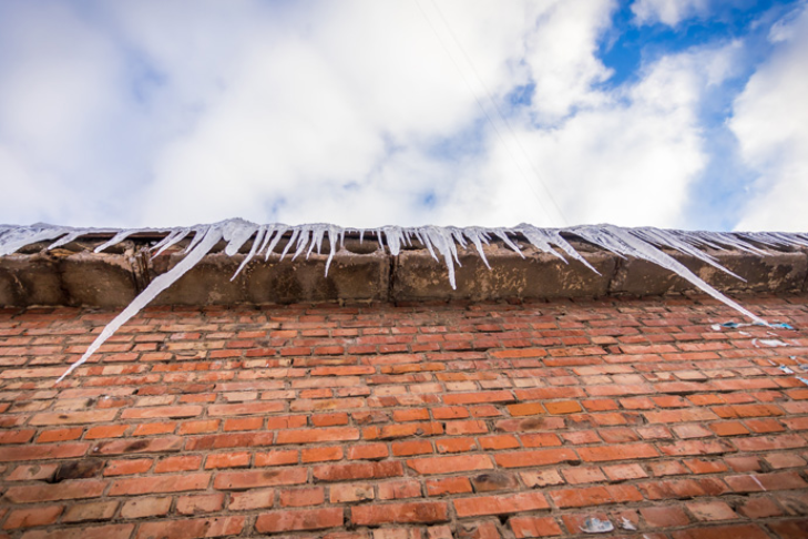    Фото Андрея Заржецкого