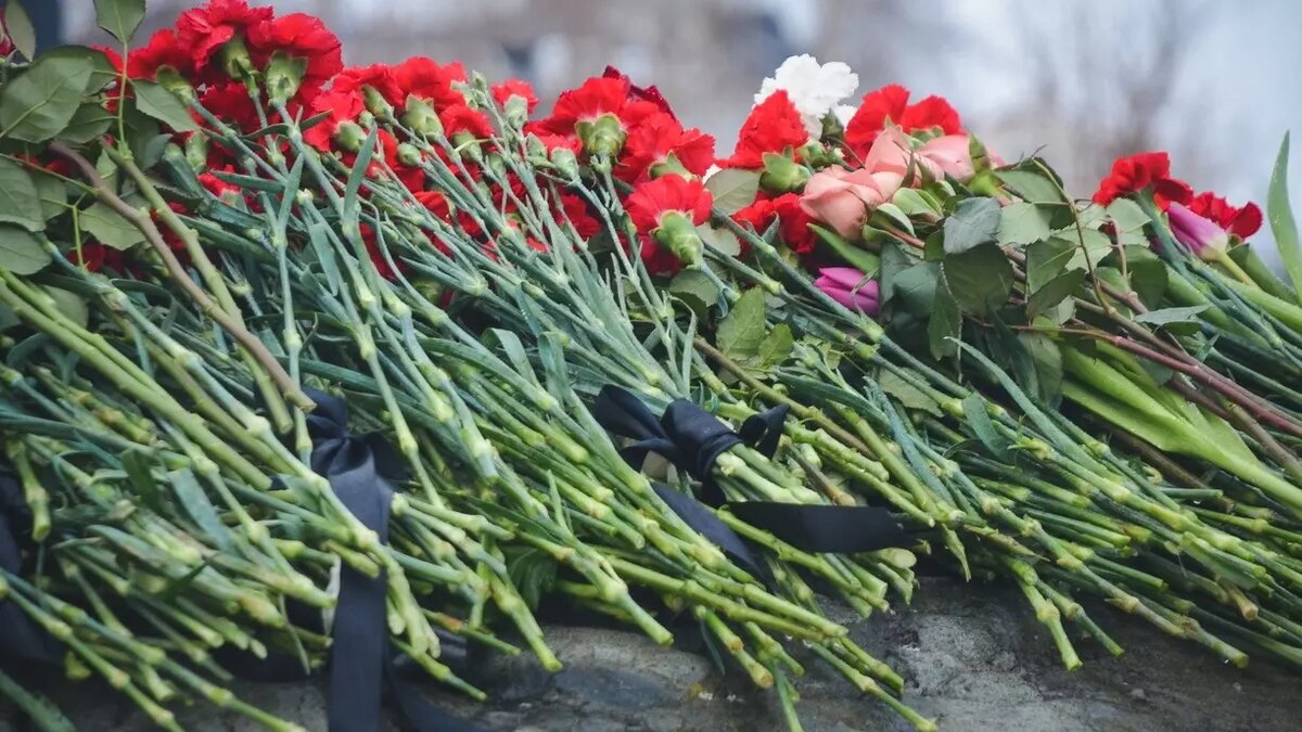     Источник: 1MI