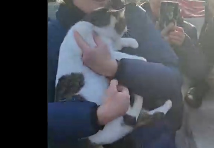    Фото: скриншот с видео