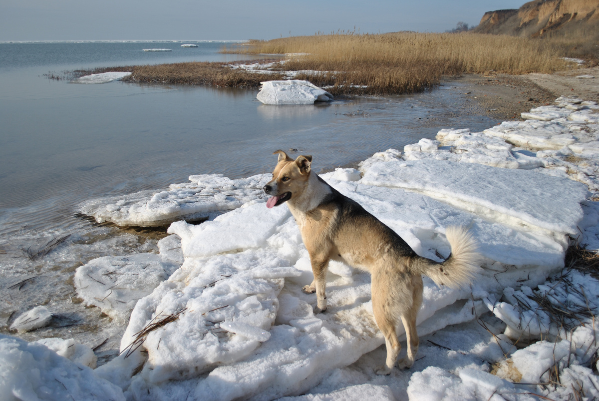 фото автора.