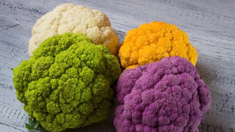     Простуда. freepik.com/photoroyalty