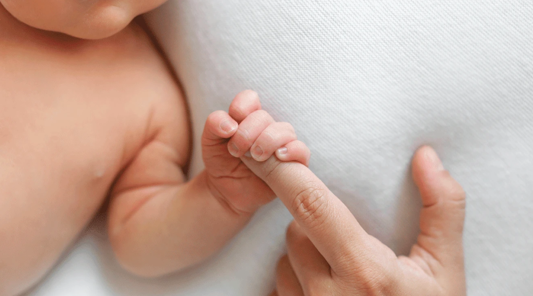 Image: Anastasiia Gridneva | Shutterstock