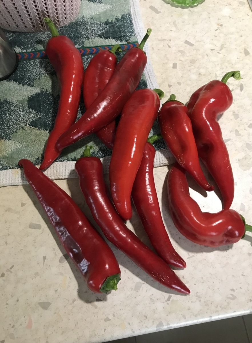 Перец Рамиро с моего огорода.