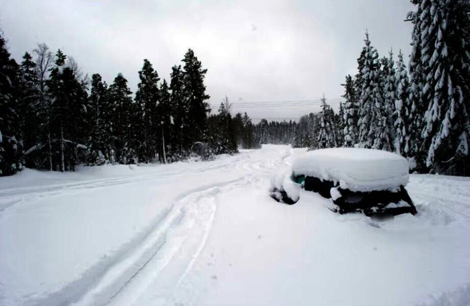    Фото: aftonbladet.se