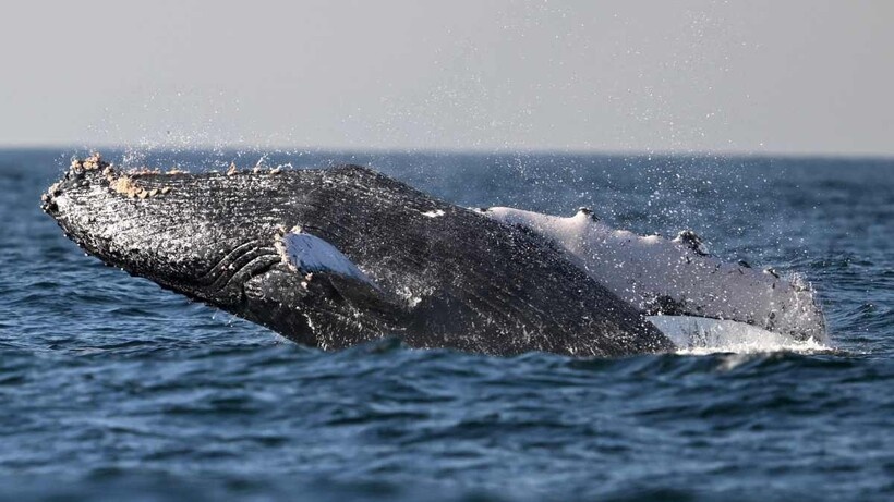    Фото: mensjournal.com