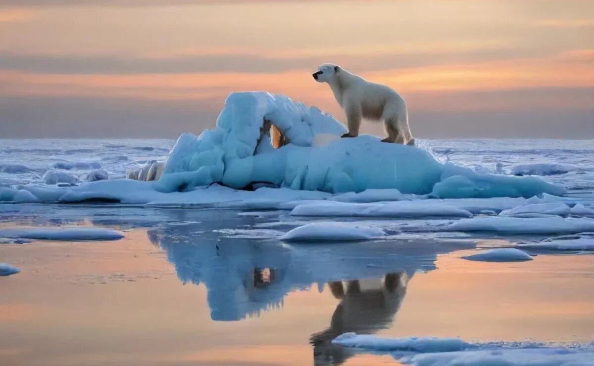    За удивительным в Арктику: увидеть ледники, белых медведей и загадочные огромные круглые камни