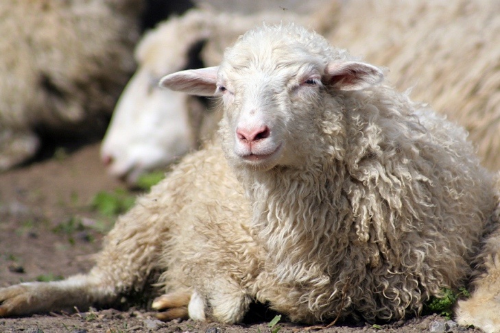    Фото из архива VN.ru