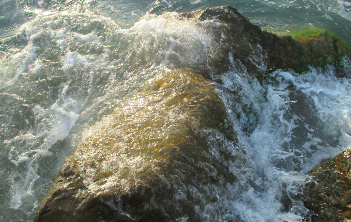 Но бурная жизнь продолжается)