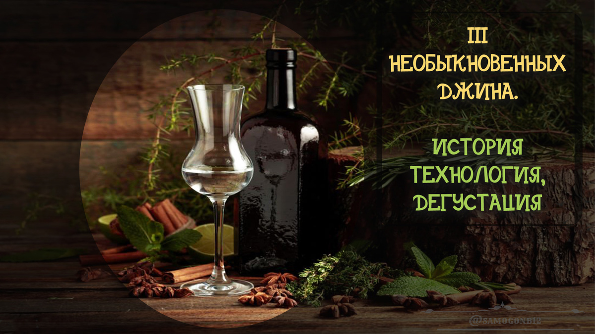 3 необыкновенных джина. История технология, дегустация.  Коллаж на основе фото автора ©