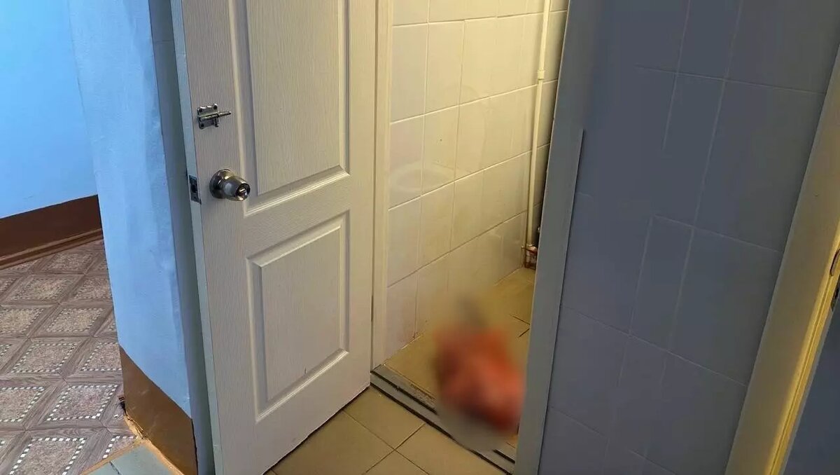     Источник: Прокуратура Красноярского края