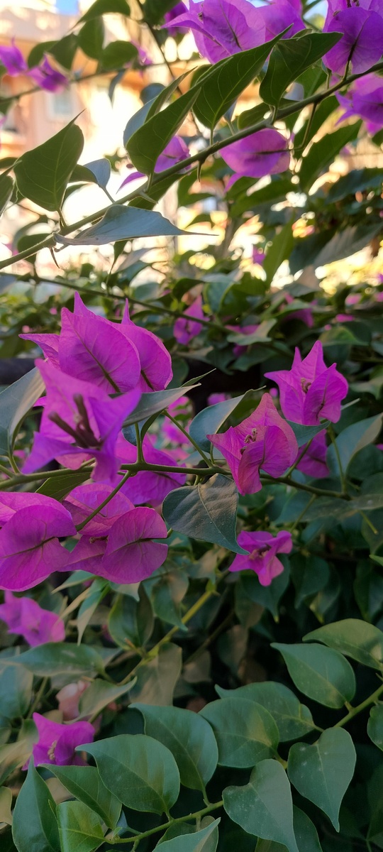 Люби себя, чихай на всех и в жизни ждет тебя успех                                                                 Чертенок №13