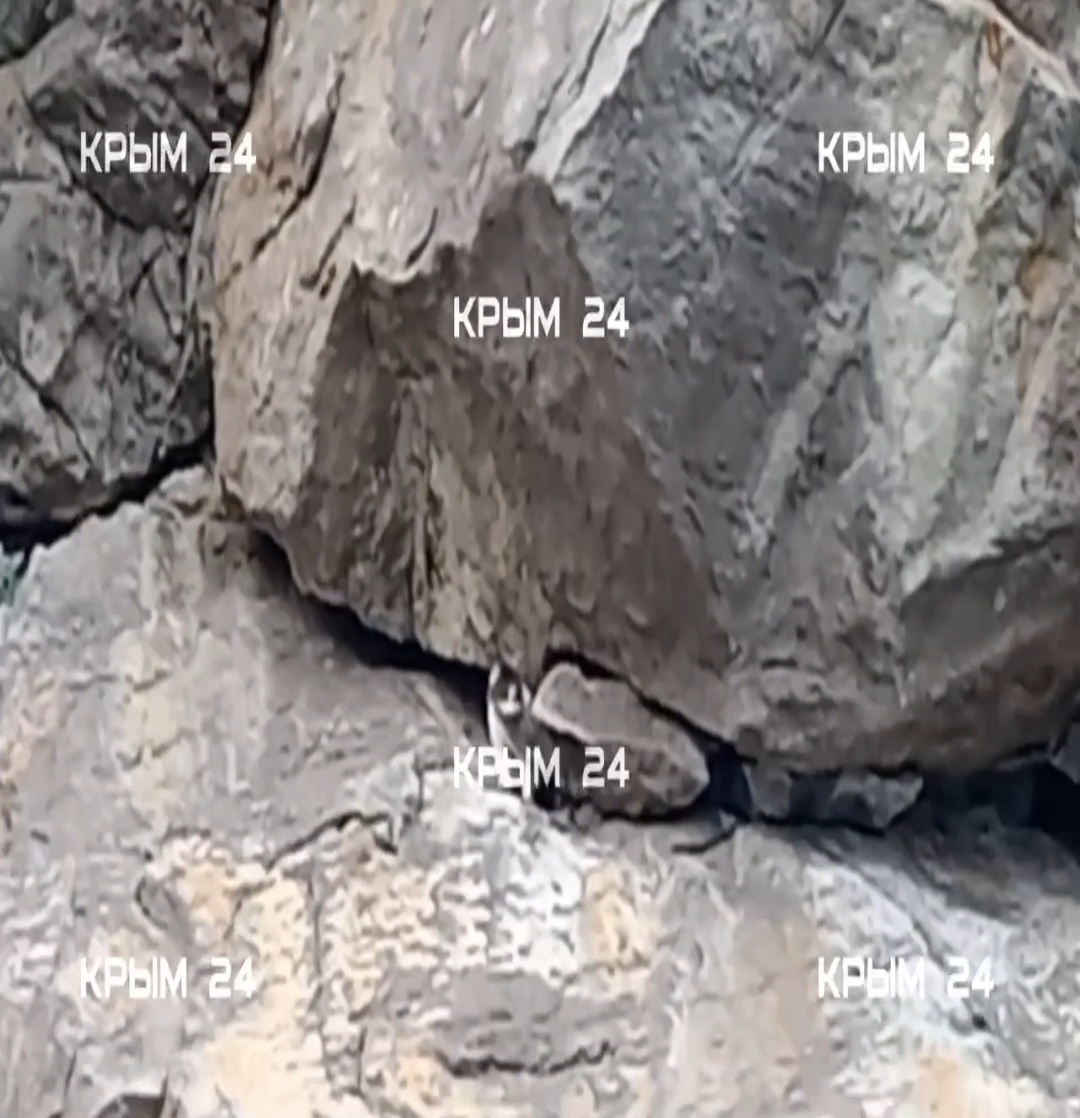 Скриншот видео Крым24