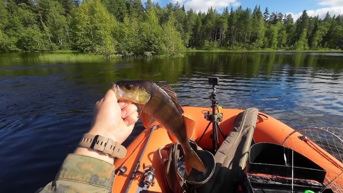 Как выбрать правильное место для рыбалки на крупной реке