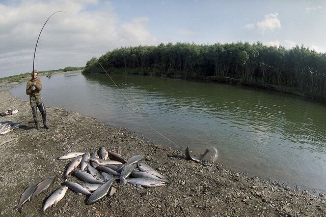 Как выбрать правильное место для рыбалки на крупной реке