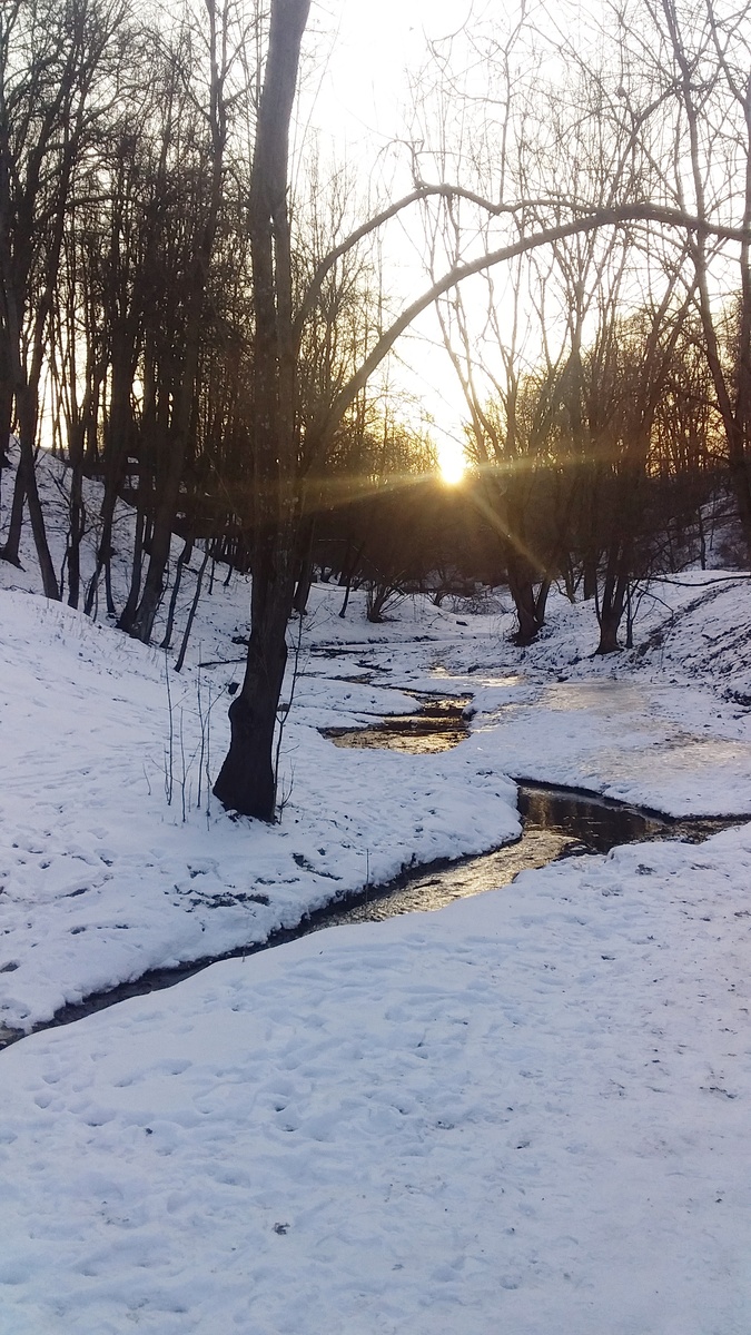 Здесь и далее немного Коломенского для вас с моей вчерашней прогулки на закате🌄🚶🏻‍♀️