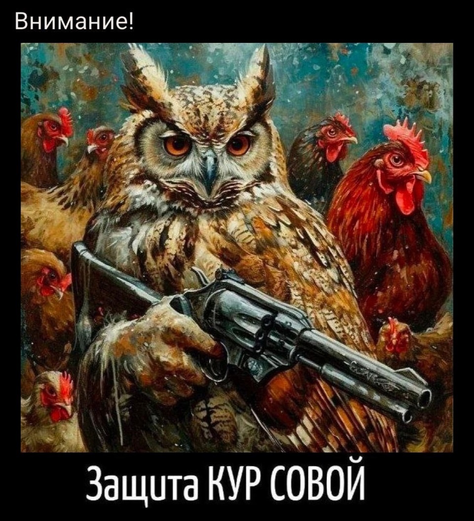 Картинку нашла в интернете. Куры - мои права, а я сова, которая их защищает.
