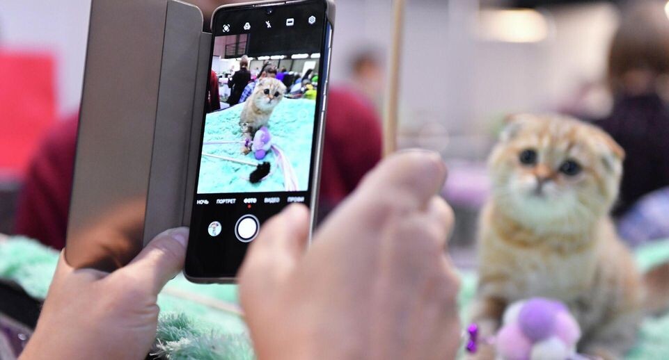    РИА «Новости»