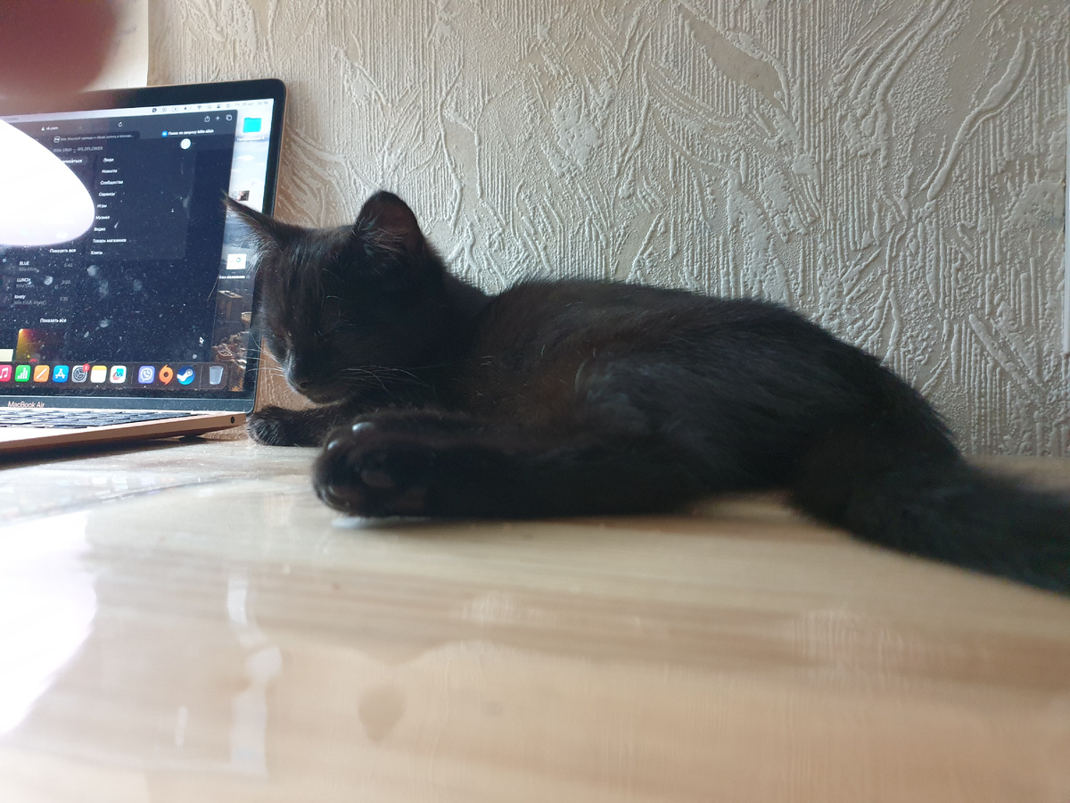 Тяжела работа у Алисы...