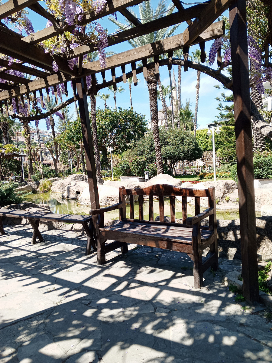 Турция, Алания. Как жаль, что на  фото не возможно передать запахи! 